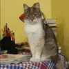 Отзыв от Василиса Щеглова